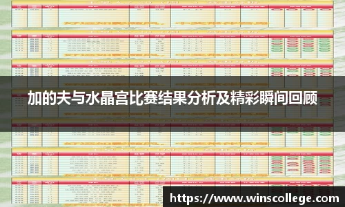 加的夫与水晶宫比赛结果分析及精彩瞬间回顾
